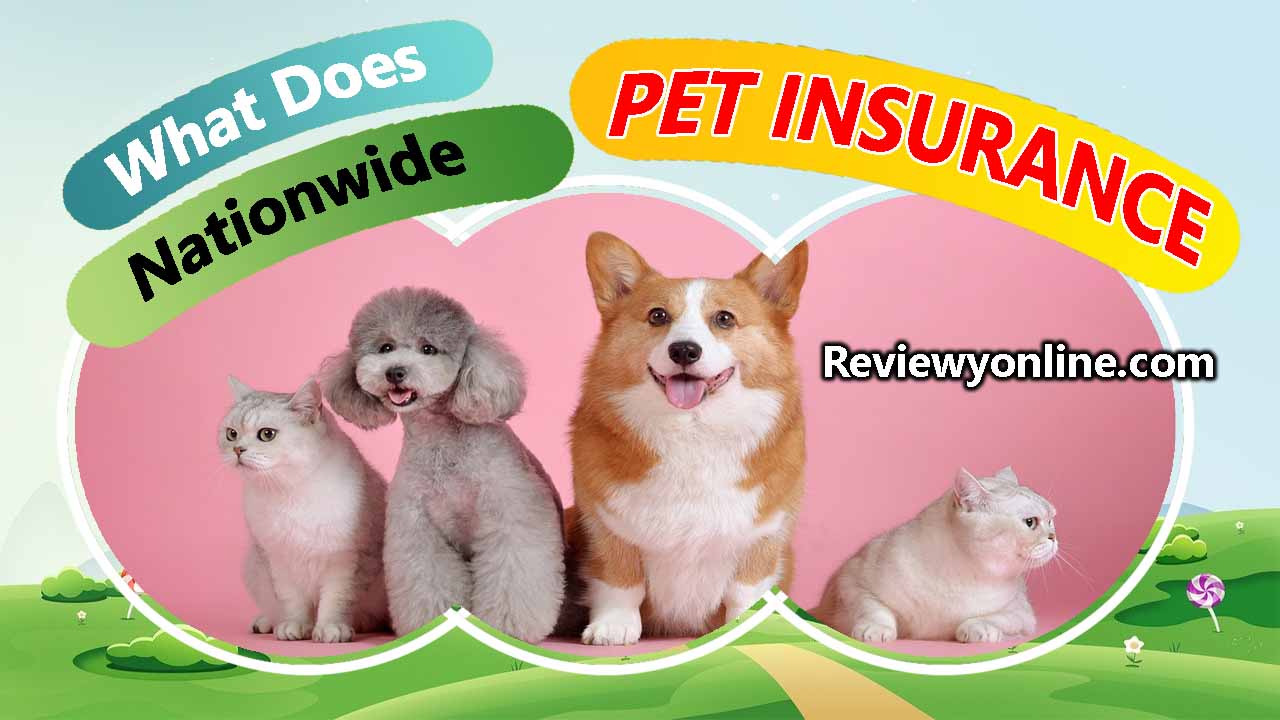 What Does Nationwide Pet Insurance Cover Reviewyonline.com